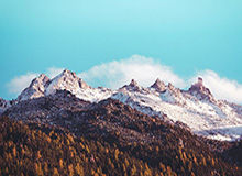 曼联任命卡里克为临时主教练