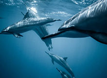 乐鱼体育下载——开启全新体育娱乐体验